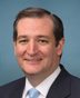 Official portrait of Ted Cruz